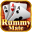 rummy foundation