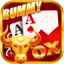 decent rummy